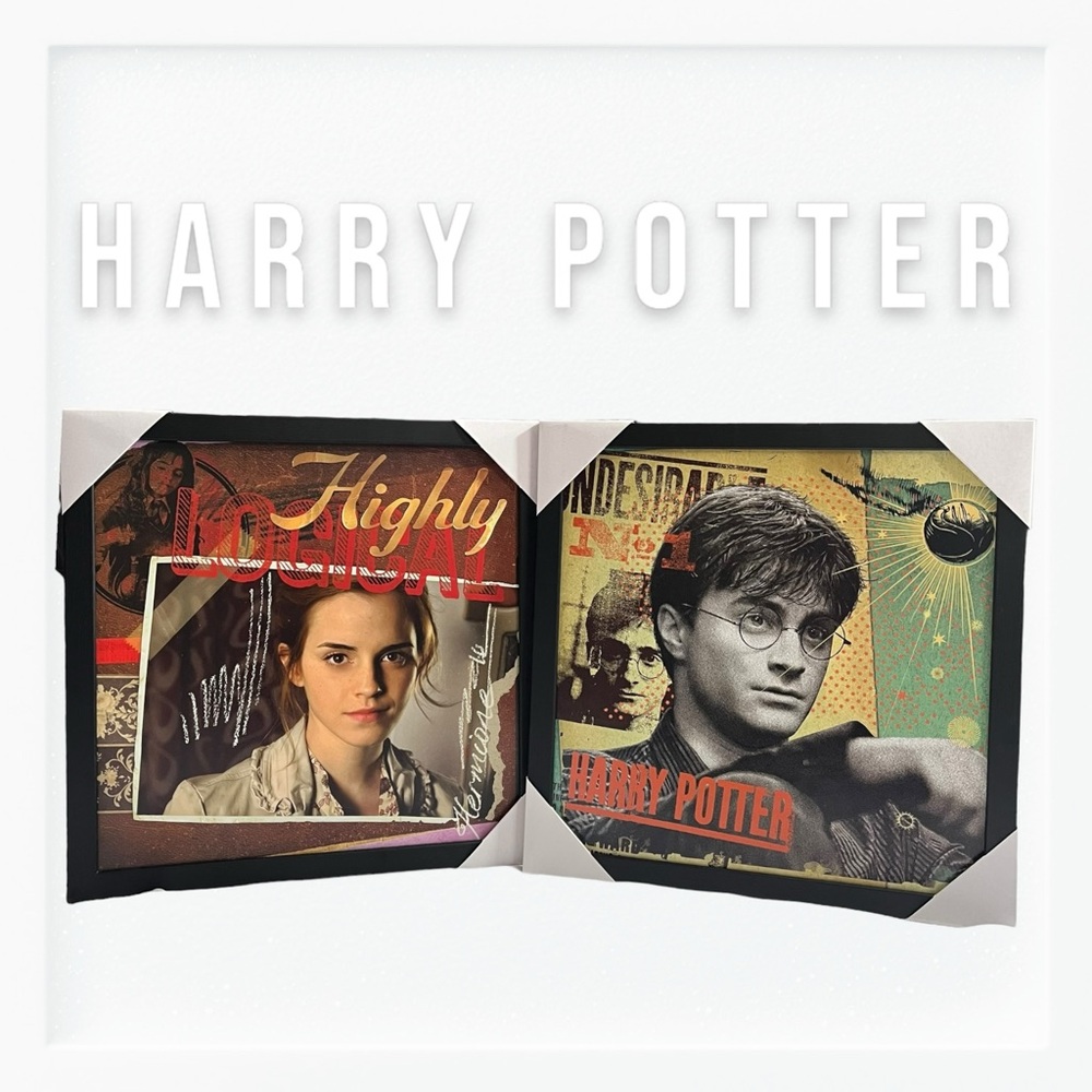 NWT Harry Potter and Hermione Print Wall Art